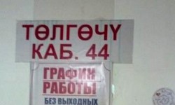 Элдик репортер: "Төлгөчүлүк расмий кызмат катары кабыл алынганбы?"