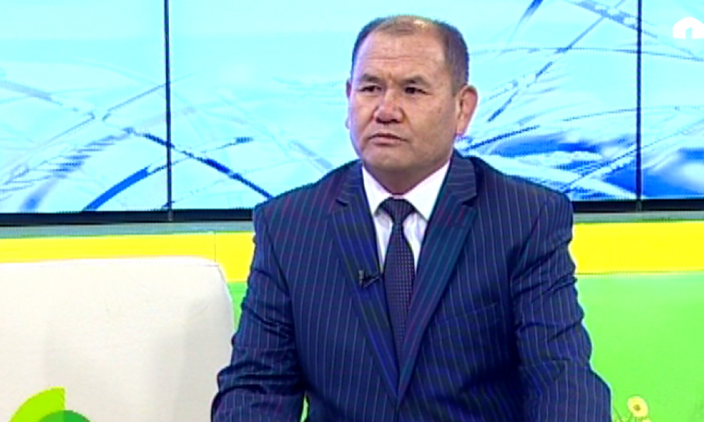 Кошумча жумуш орундары кандайча камсыздалат?
