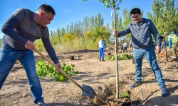 В городе скоро появится  "Аллея спортсменов"