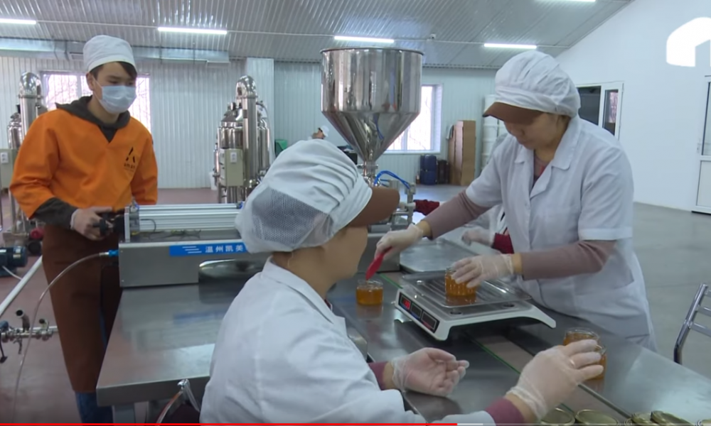 KG өндүрүш / Кыргыз балы кантип экспорттолот?