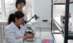 Развитие ветеринарной службы на 2018-2023 годы