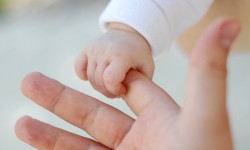 Правительство предлагает парламенту отсрочить действие закона о "суйунчу" 