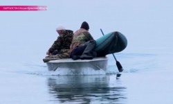 На Иссык-Куле создадут экологическую полицию в борьбе с браконьерами