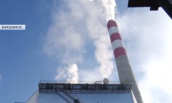 Воздействие экологии Бишкека на здоровье горожан