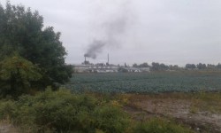 Черный смог над совхозом Фрунзе Сокулукского района