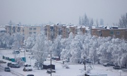 Насколько строительные объекты адаптированы к климату?