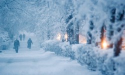 Штормовое предупреждение: по Кыргызстану 14-18 февраля ожидается снегопад и морозы