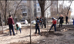 В Кыргызстане продолжается массовая посадка саженцев