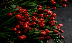 В трех областях Кыргызстана женщин наградили орденами и медалями 
