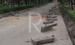 Элдик репортер: по бульвару Эркиндик продолжается вырубка деревьев