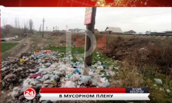 Элдик репортер: всё самое интересное