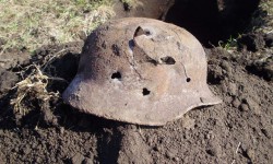 Поисковые движения бывшего Союза ищут останки погибших во время Великой Отечественной войны