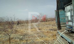 Элдик репортер: из-за несвоевременной подачи воды в Балыкчы может пропасть весь урожай