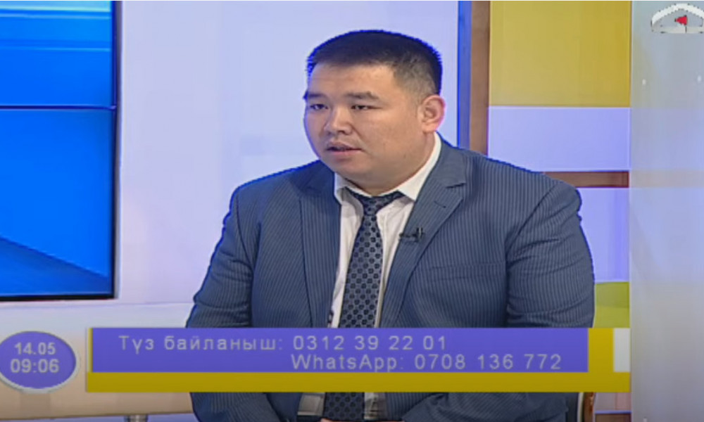 Адистин кеңеши / “Акыйкатчы –бот 115” укуктук чаты кимге, кантип, кандай жардам берет?