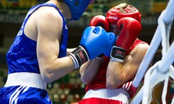 Кикбоксинг боюнча Кыргызстандын чемпионаты өтөт