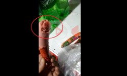 Элдик репортер: в детских сосисках "Аброй" нашли личинки
