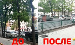 Элдик репортер: "Оставшиеся деревья закатали в бетон"