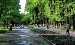 Как провести отпуск с пользой?