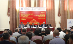 Роль местного самоуправления в комплексном развитии регионов