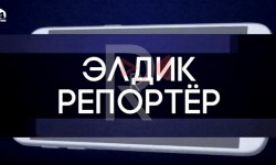 "Элдик репортерго" келген видеолор арбын