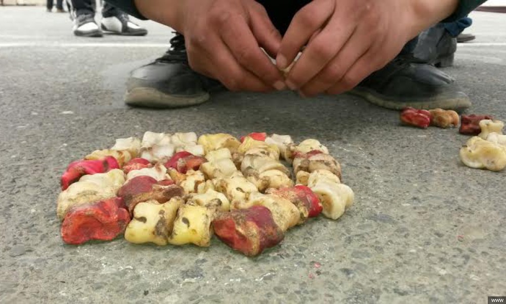  В южной столице идет подготовка к третьим Всемирным играм кочевников