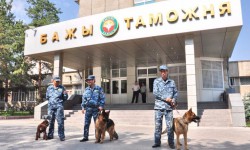 Улучшение работы таможенной службы