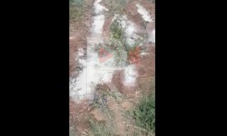 Элдик репортер: завод "Ак-Жалга" загрязняет воду и поля поливают химикатами