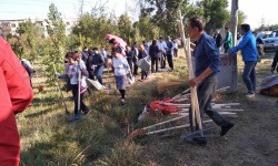 Сегодня во всех областях Кыргызстана проходит субботник 