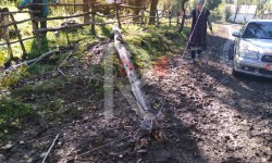 Элдик репортер: Электр түркүктөрү шамалда жулунуп кыйналган айыл тургундары