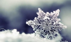 МЧС: штормовое предупреждение