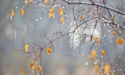 МЧС прогнозирует потепление уже в это воскресенье
