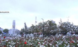 Температура воздуха в Бишкеке опустилась ниже нуля, выпал первый снег