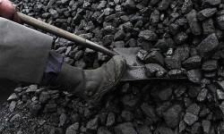 ГП «Кыргызкомур» провело мониторинг цен местного угля