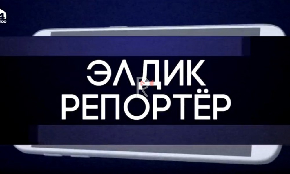 Элдик репортер: всё самое интересное