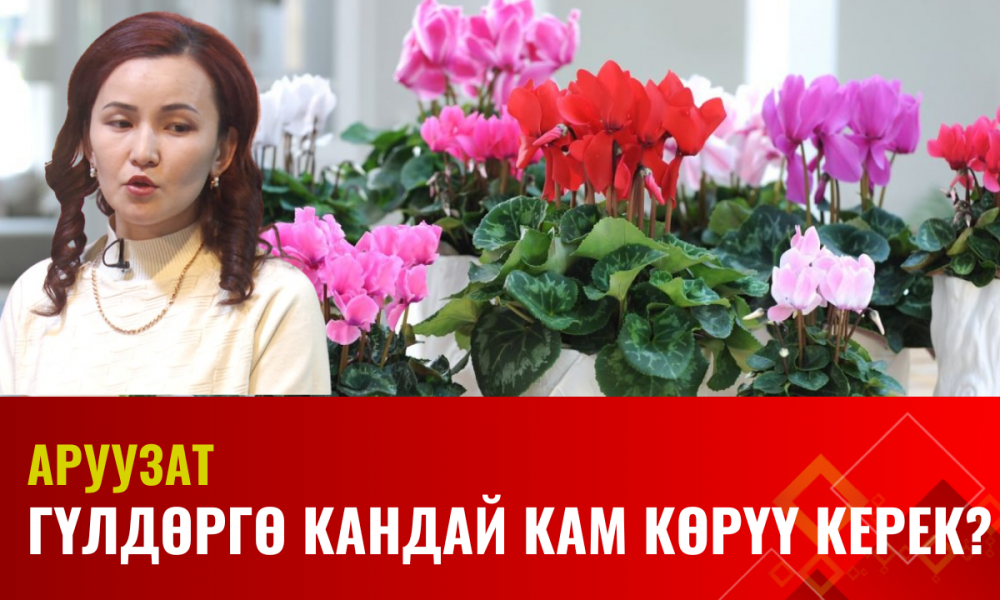 Гүлдөргө кандай кам көрүү керек? | Аруузат
