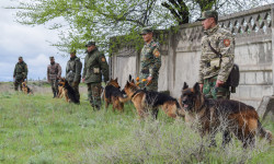 В Департаменте по охране и конвоированию ГСИН состоялись соревнования кинологов