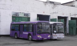 Кытайдын Үрүмчү шаарынан он автобус белекке келди