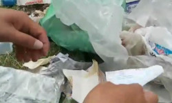 По квитанциям установили личность женщины, выбросившей мусор в парк