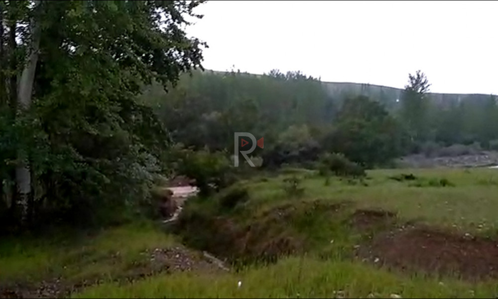 Сары-Талаа айылындагы өкмөттүн жерин басып алган ким?