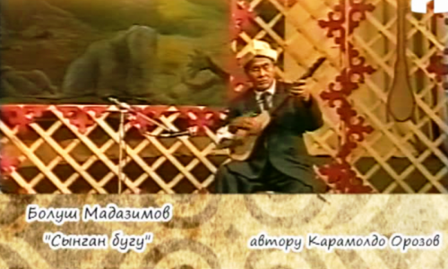 Кылым күүлөрү: "Сынган бугу"