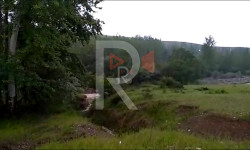 Кому принадлежит заказник?