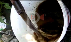Ынтымактын тургундары ылай сууну ичүүгө аргасыз