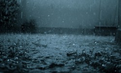 Нөшөрлүү жамгырдын кесепетинен Талас районунда суу каптады