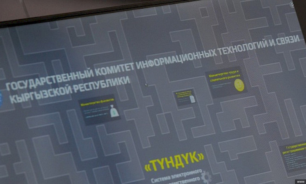 ЕАЭС: обмен информацией посредством «Түндүк»