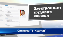 Разработана единая автоматизированная система "Е-Kyzmat"