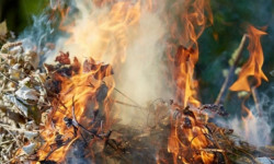 Мэрия Бишкека просит не сжигать мусор. Нарушителей ждут штрафы