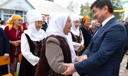 Премьер-министр встретился с жителями села Ак-Булак