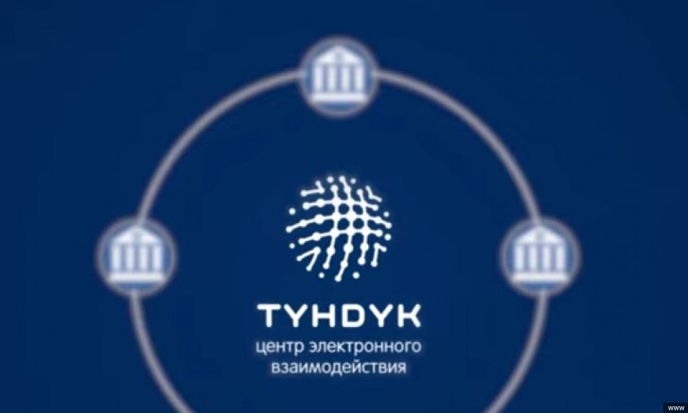 Санариптик өнүгүү маселеси учурда Кыргызстандын өзүндө да негизги маселелерден болуп турат