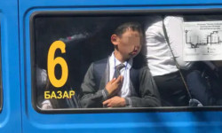 Выживание школьников в общественном транспорте