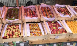 По итогам 9 месяцев года объем экспорта составил миллиард 356,5 млн долларов
